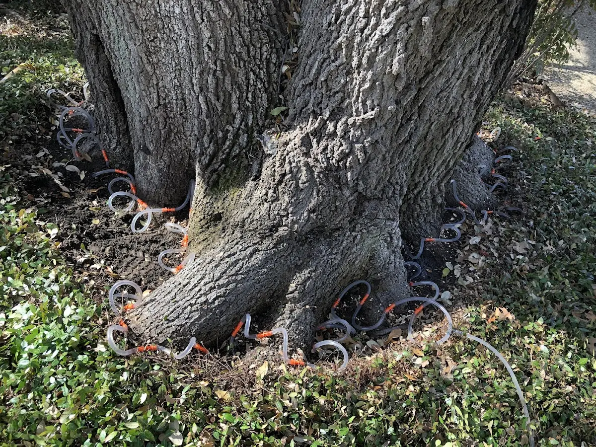 Detailed Shrub and Hedge Trimming job site in Opp